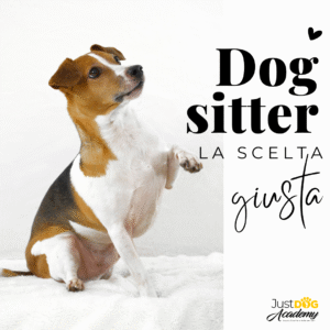 DOG SITTER - La scelta giusta