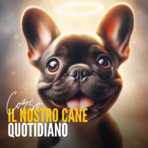 CONNECT - Il nostro cane quotidiano