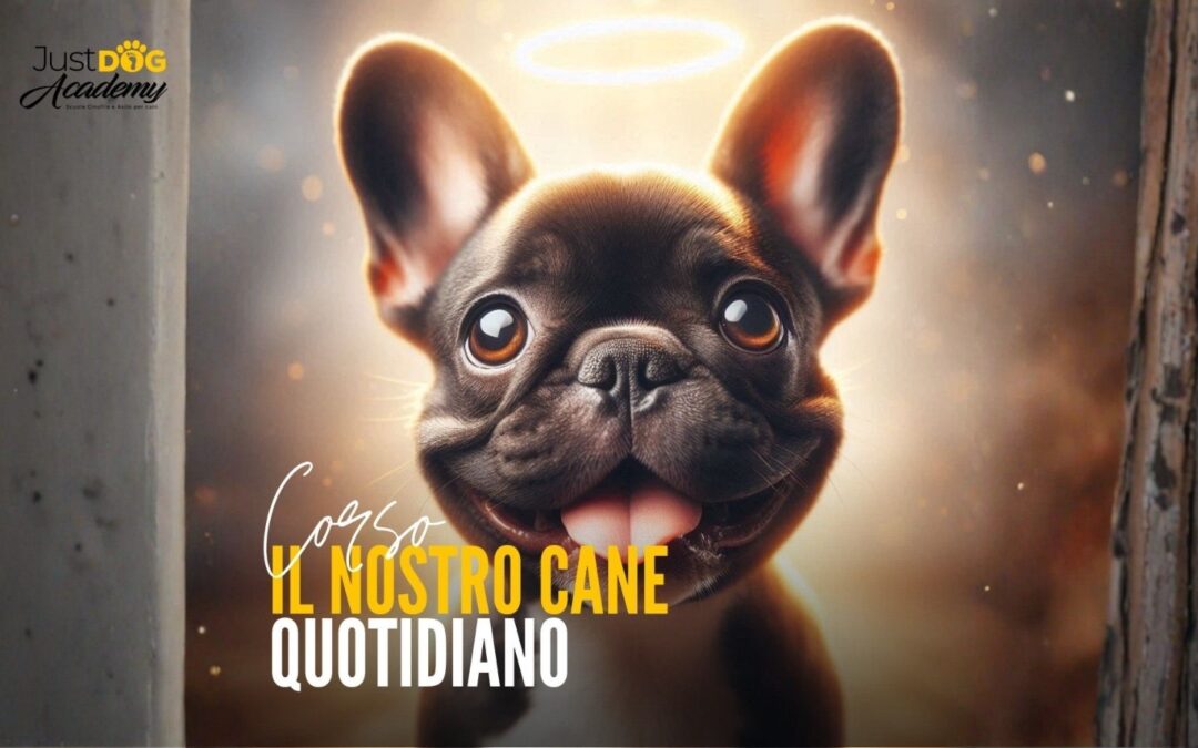Il Nostro Cane Quotidiano
