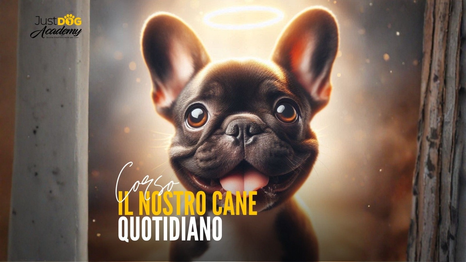 Il Nostro Cane Quotidiano