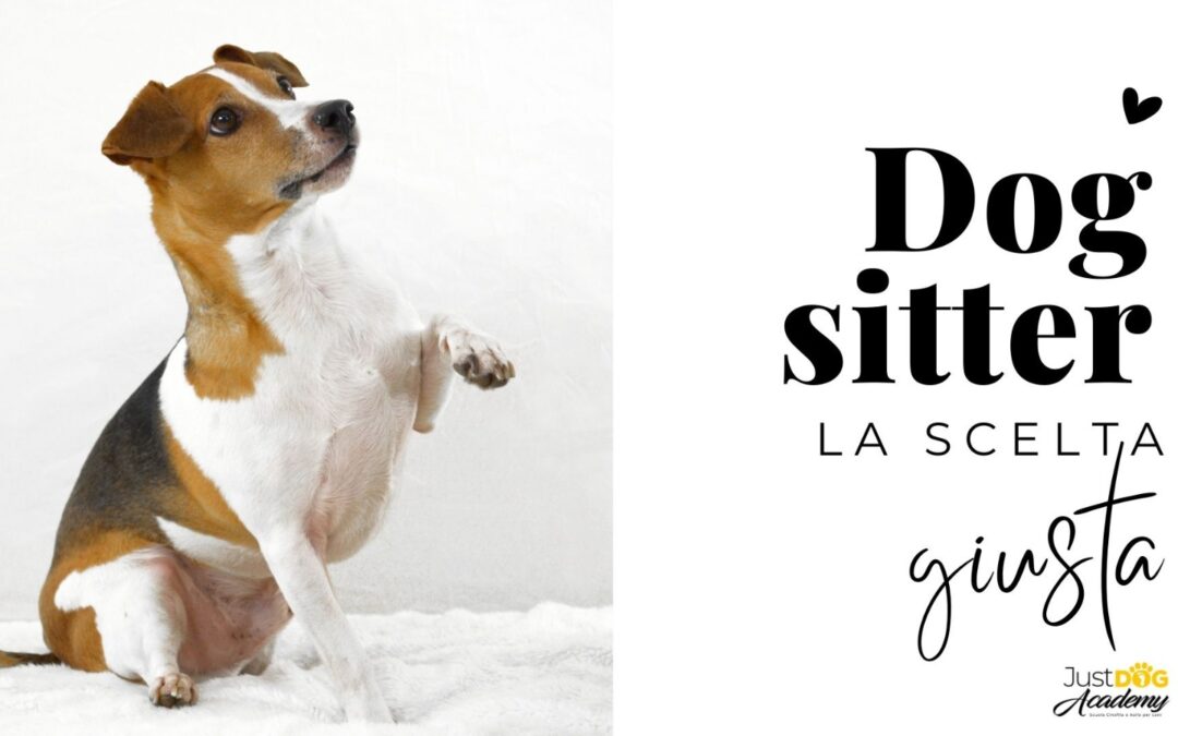 Dog Sitter – La scelta giusta